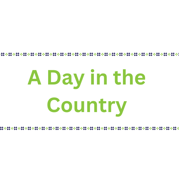 A DAY IN THE COUNTRY FABRIC COMPANY