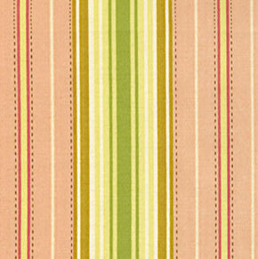 Heather Bailey - Freshcut - D1586-702 (only half metre left)J