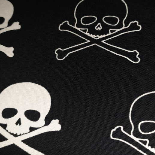 Skull and Crossbones canvas black and white
