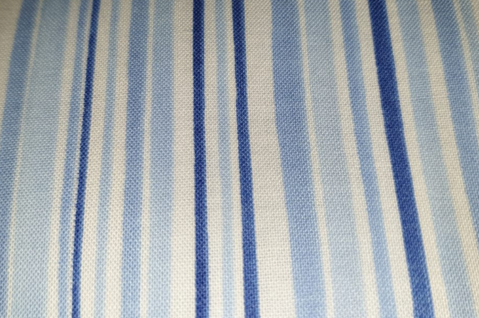 Timeless Treasures light blue stripe ROSE-C2152