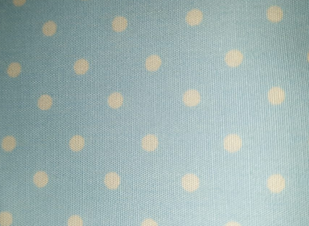 A day in the country white spot on baby blue (dots)