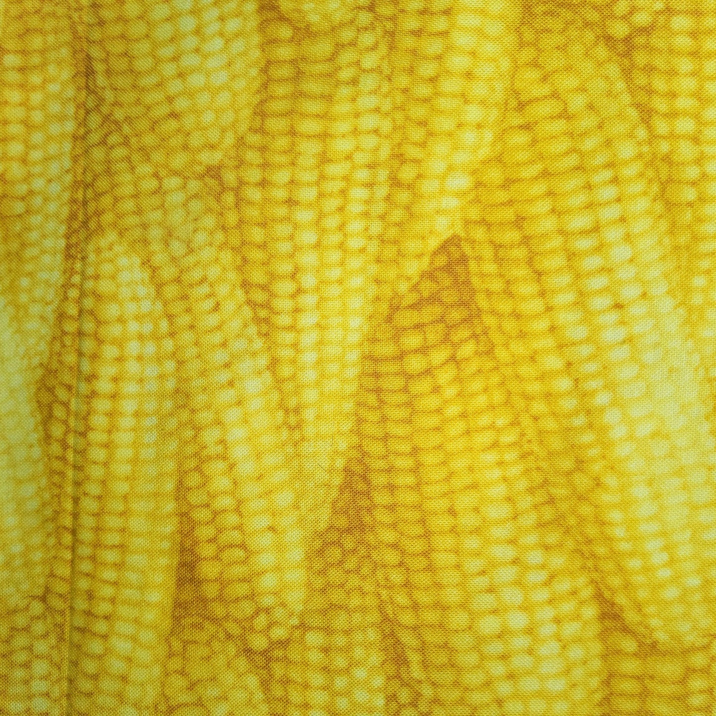 Kyle's Marketplace corn cobs 47831