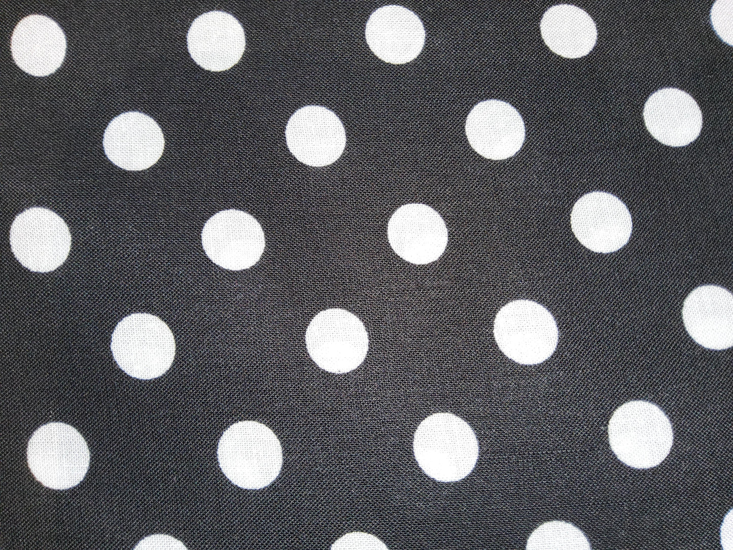 Michael Miller - That's It Dot - White on Black C-2489