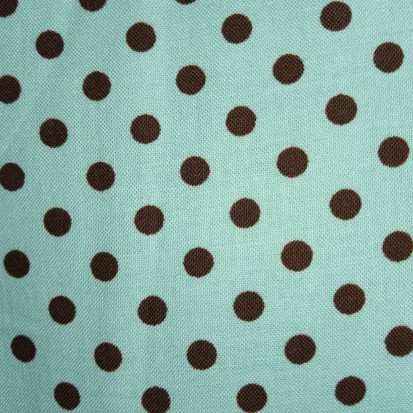 Michael Miller - Dumb Dot - CX-2490 Aqua chocolate