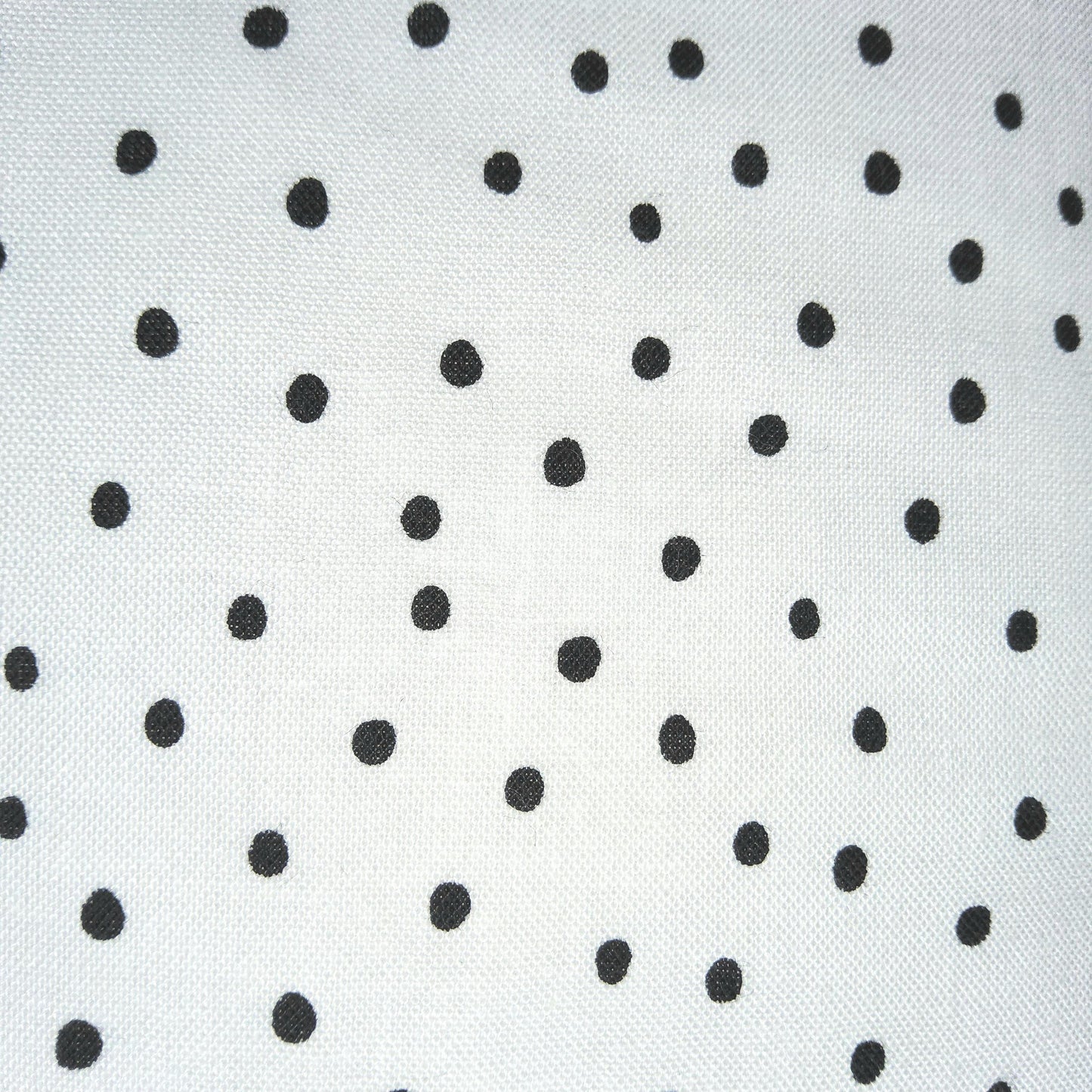 Dinky Dots by Loralie Harris white black