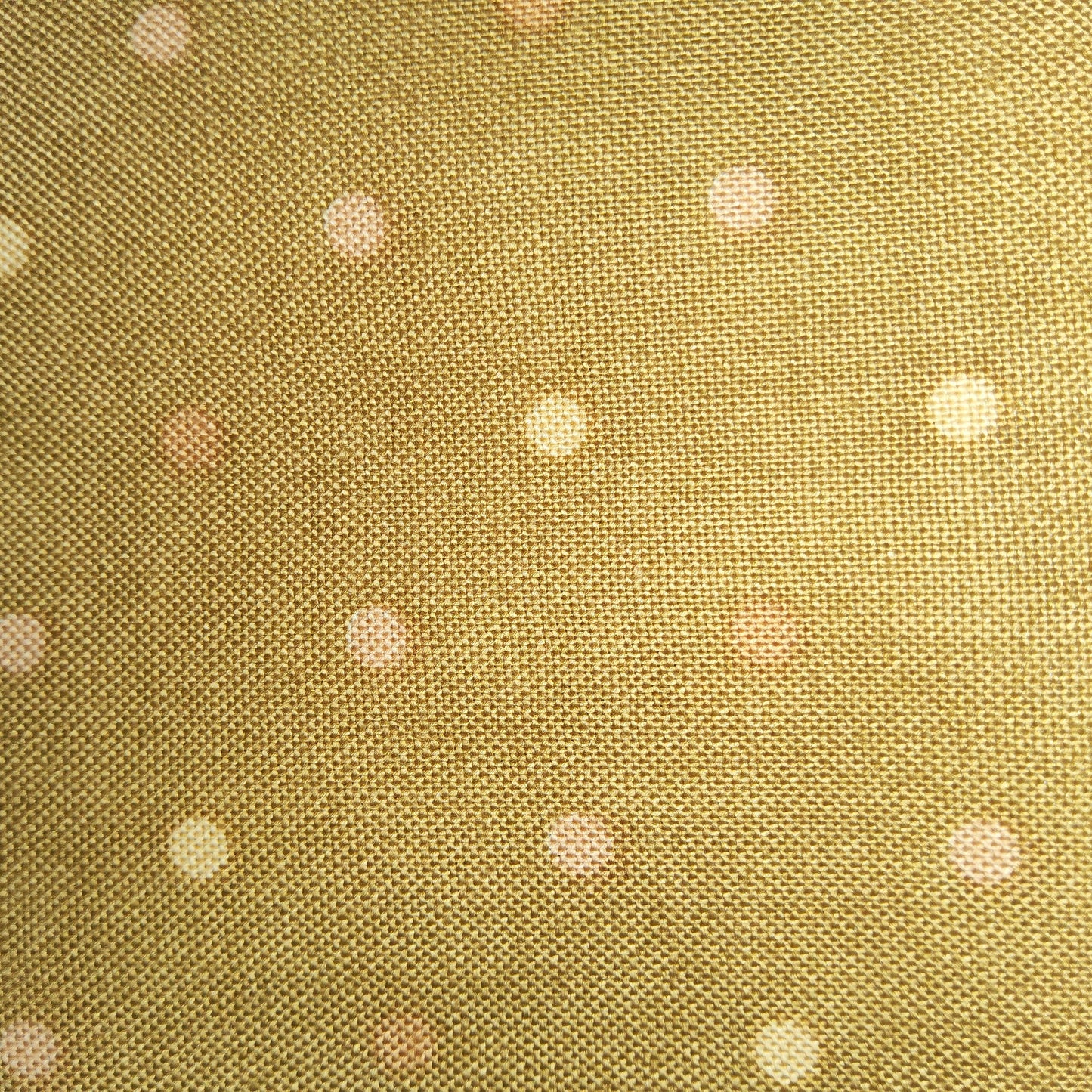Dots - Renee Nanneman - Daylily Daze - Of Need'l Love (olive spot) D3199L