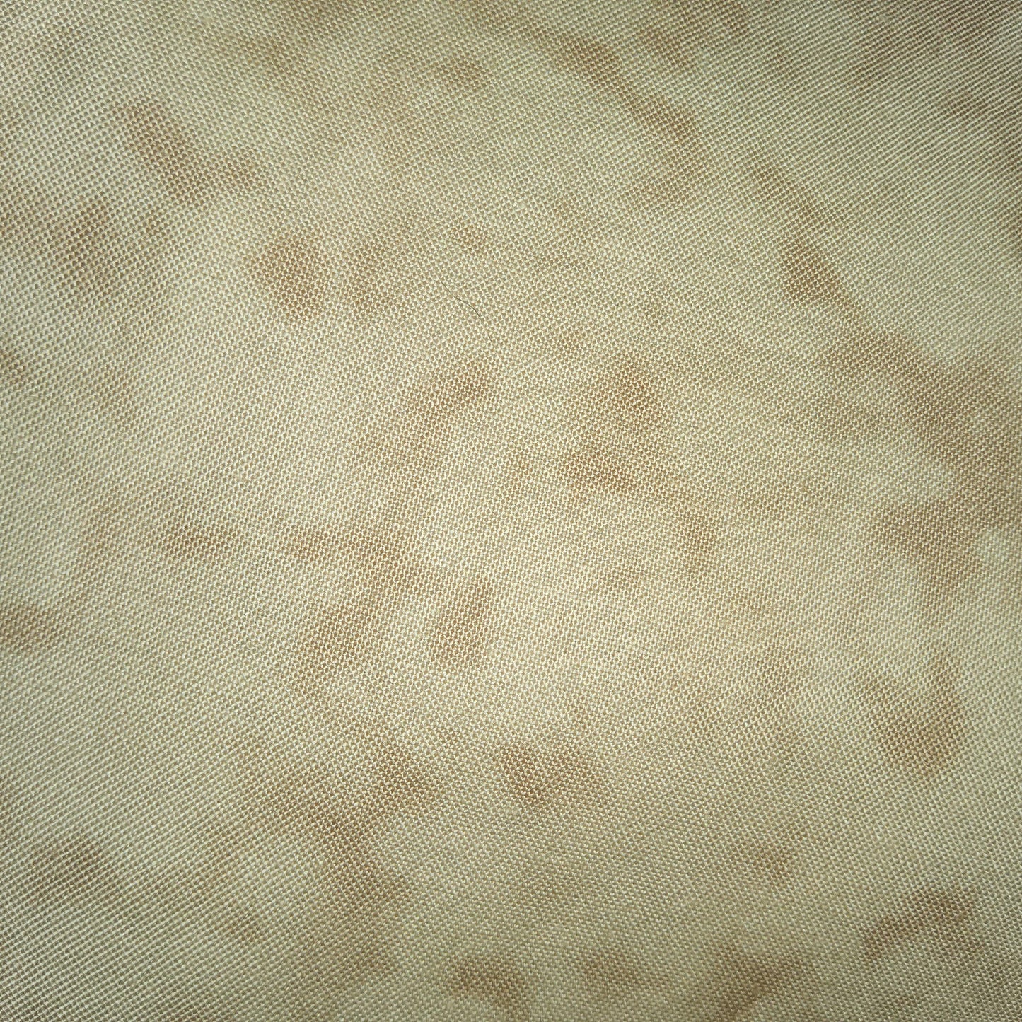 TEASTAIN by XLN - beige *