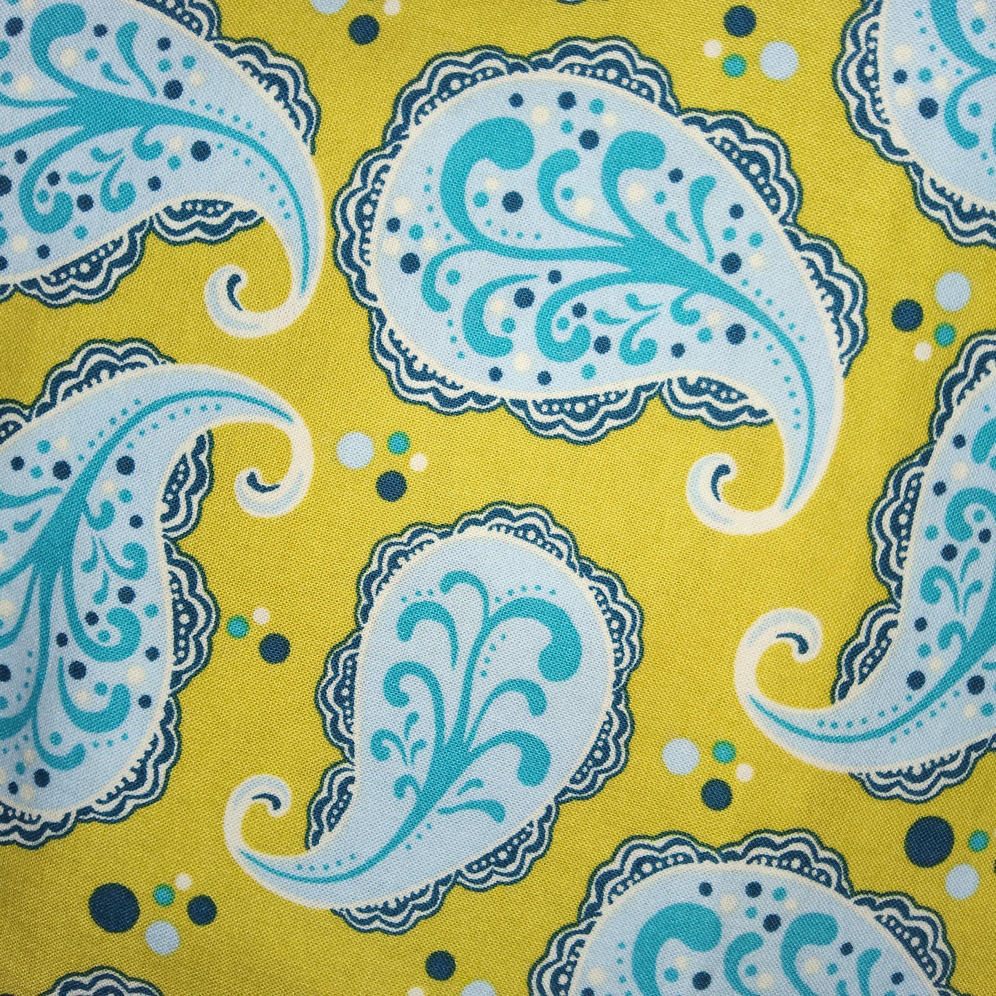 Michael Miller - Sandi Henderson - Playful Paisley - Spring SH-3747