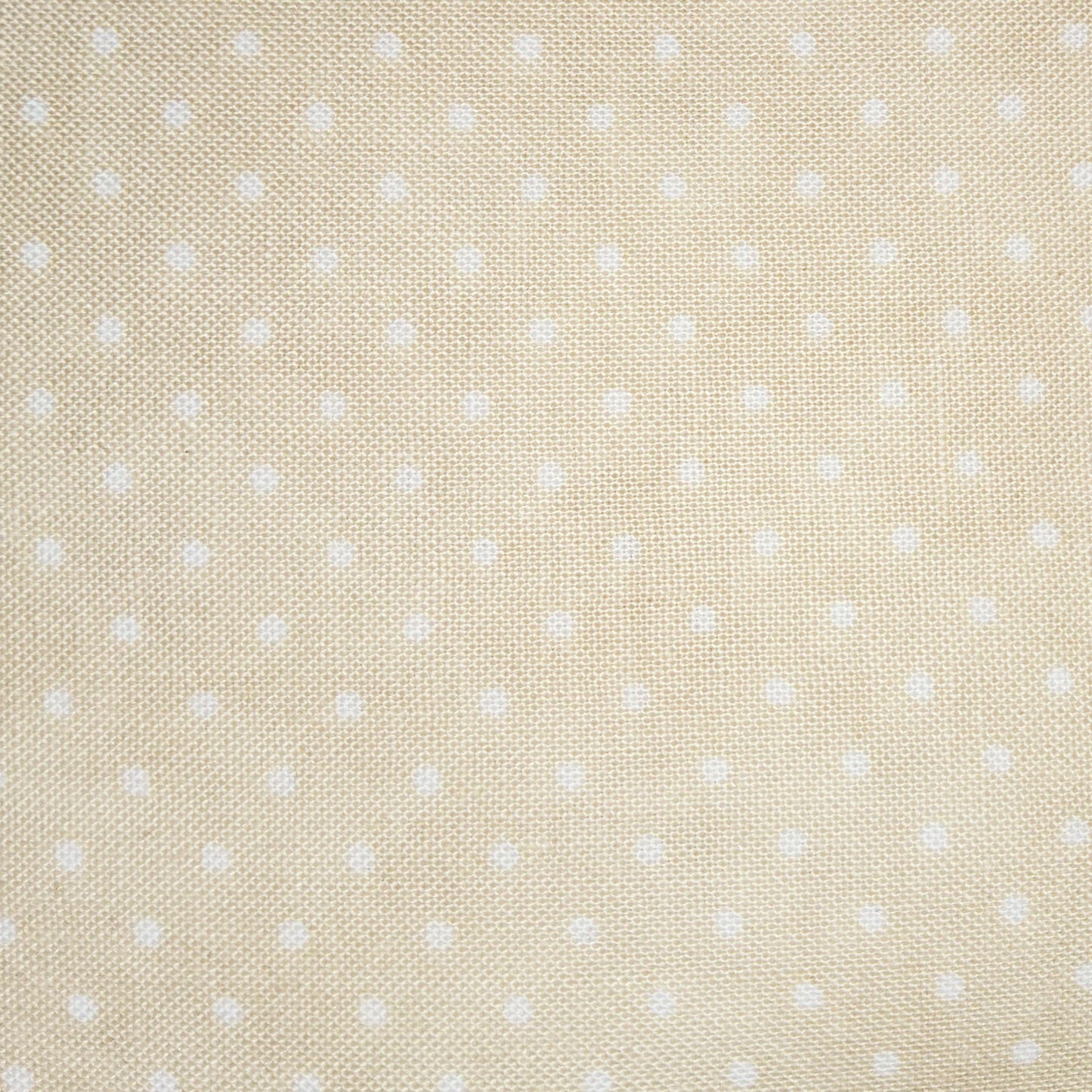 Moda - Essential Dots - Eggshell with Cream 8654 11 *