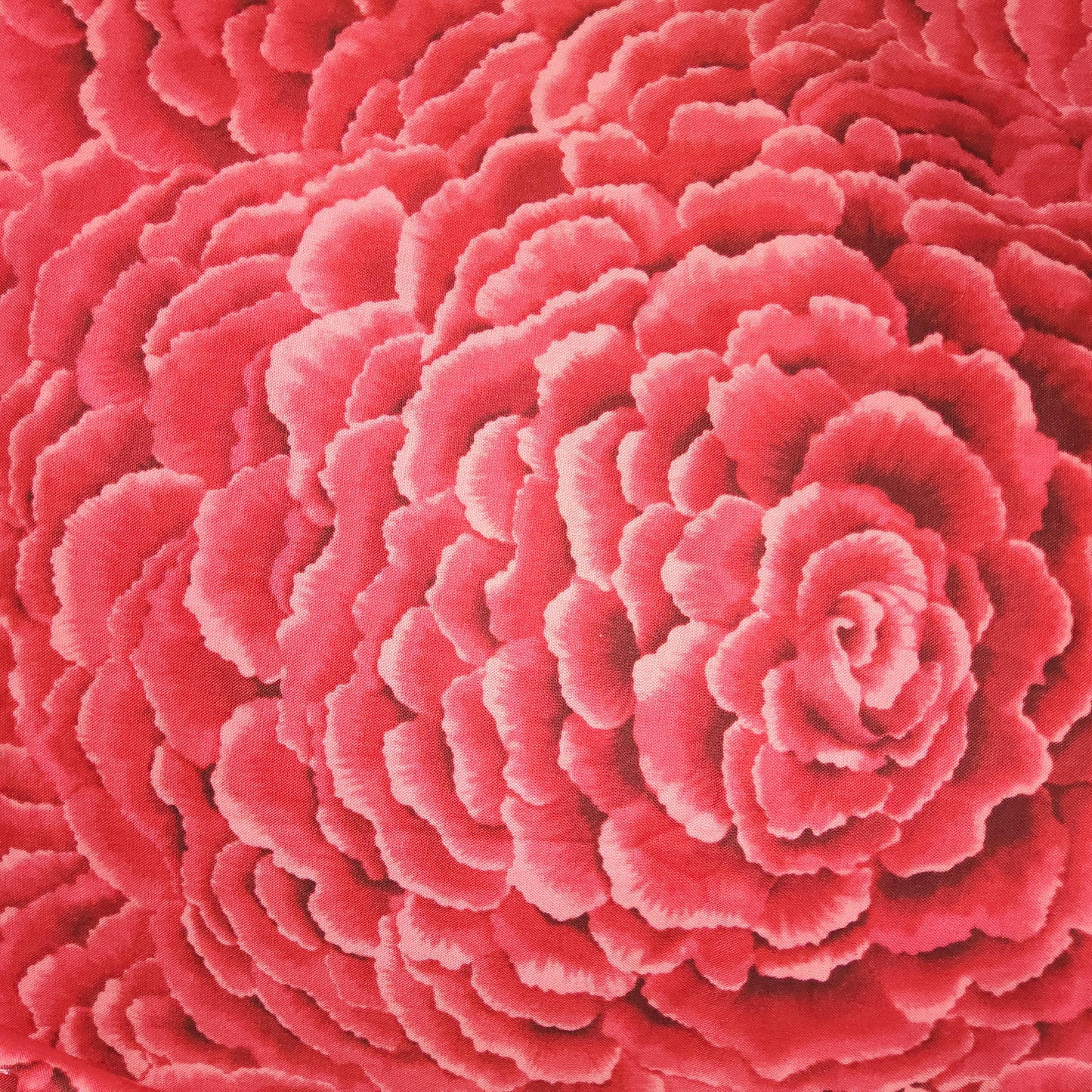 Michael Miller Petals in Red CX4350