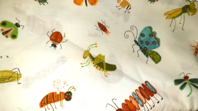 Amy Schimler Creatures and Critters bugs 7578