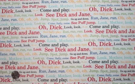 Dick and Jane Sentence Structure (white background) Now out of print DJ-3157