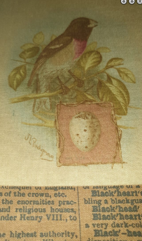 Moda - Blackbird Designs - Harvest Home - Scrapbook - Bark 2628-12 (newsprint)