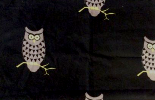 Owl by Myself by Michael Miller