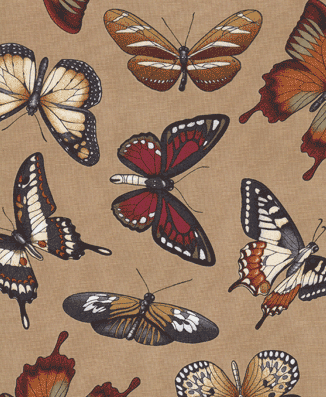Timeless Treasures - Butterflies - Natural (Butterfly) GM-C 4379