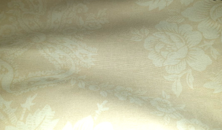 Robyn Pandolph White Roses and Bows on cream