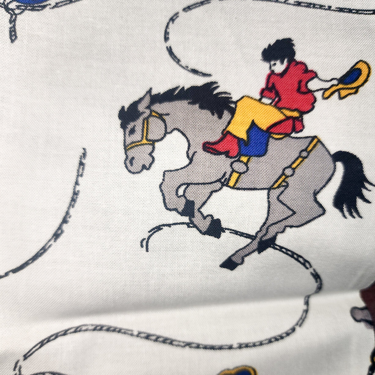 Vintage Cowboys with lasso - white background