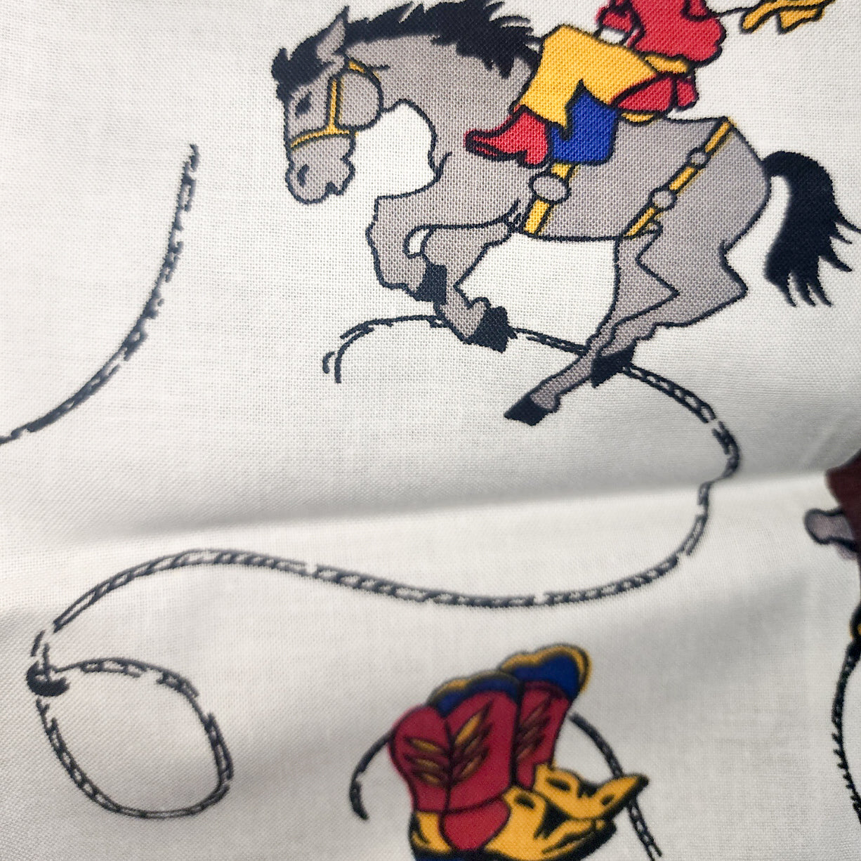 Vintage Cowboys with lasso - white background