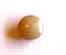 Dome beige button 0.5cm (shank)