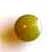 Dome button olive 0.5cm (shank)