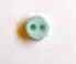 Round mint green button 40mm (sew-thru)
