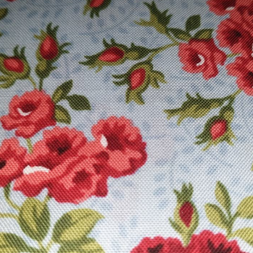 RJR Regatta Flowers and Stripes - Flowers 4947 2 Denim and Red