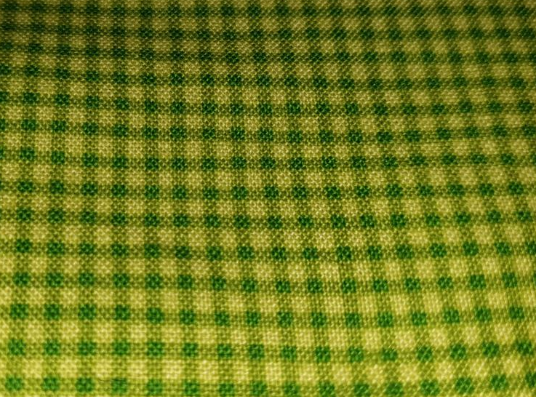 American Jane - Building Blocks - check green 21049 (gingham)