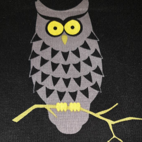 Owl by Myself by Michael Miller