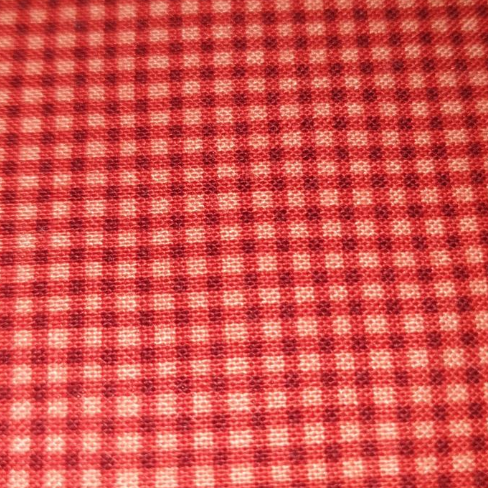 American Jane - Building Blocks - check red 21049 (gingham)