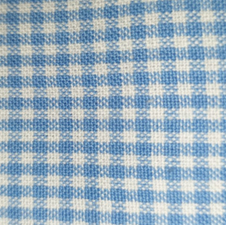 Gingham check - baby blue