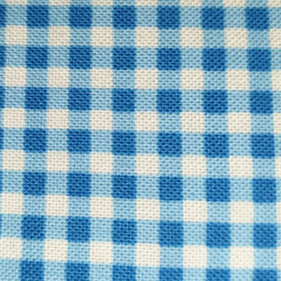 Michael Miller Gingham Two tone mid blue CX940