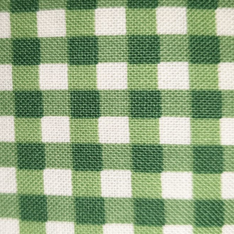 Michael Miller Kids Check green white CX3248 (gingham)
