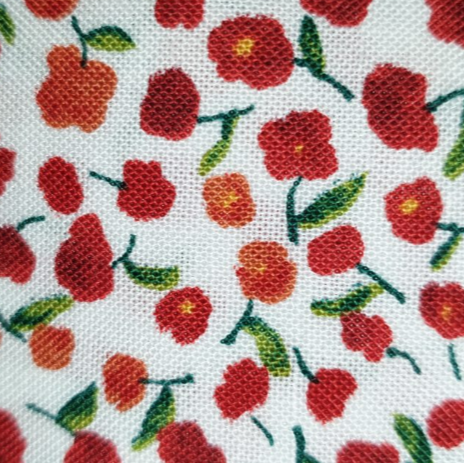 SunnyDay by RJR Fabrics (Sunny Day) 4941 White Red