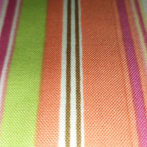 Amy Butler - Ginger Bliss - Stripe
