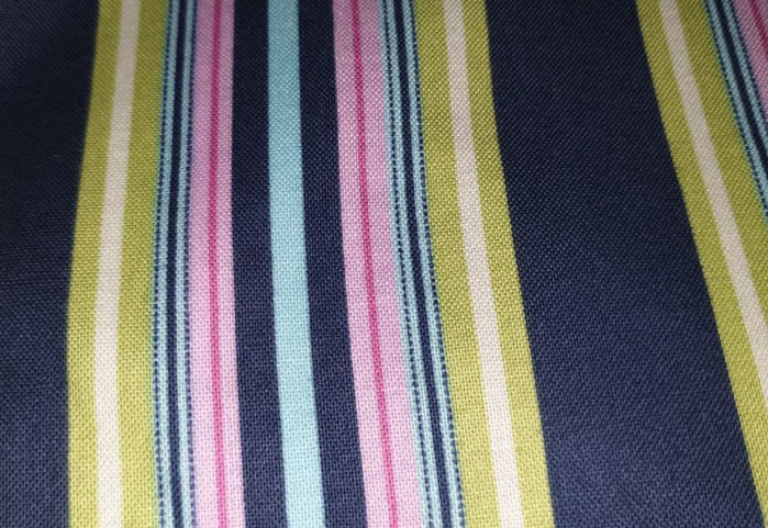 Amy Butler - Charm - Awning stripe navy pink