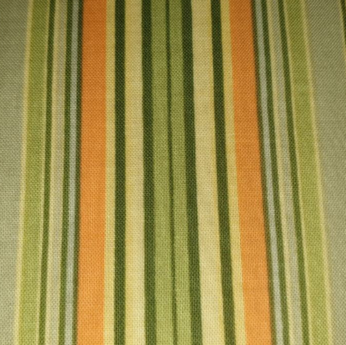 Amy Butler - Belle - Oxford Stripe Green Yellow