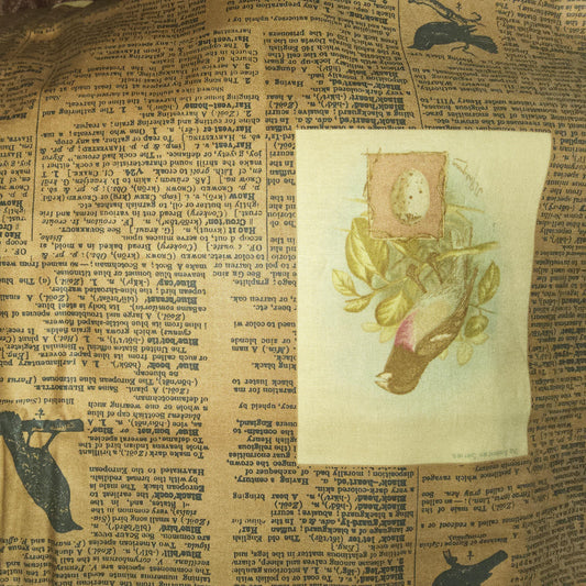 Moda - Blackbird Designs - Harvest Home - Scrapbook - Bark 2628-12 (newsprint)