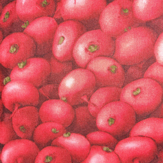 Kyle's Marketplace - radishes