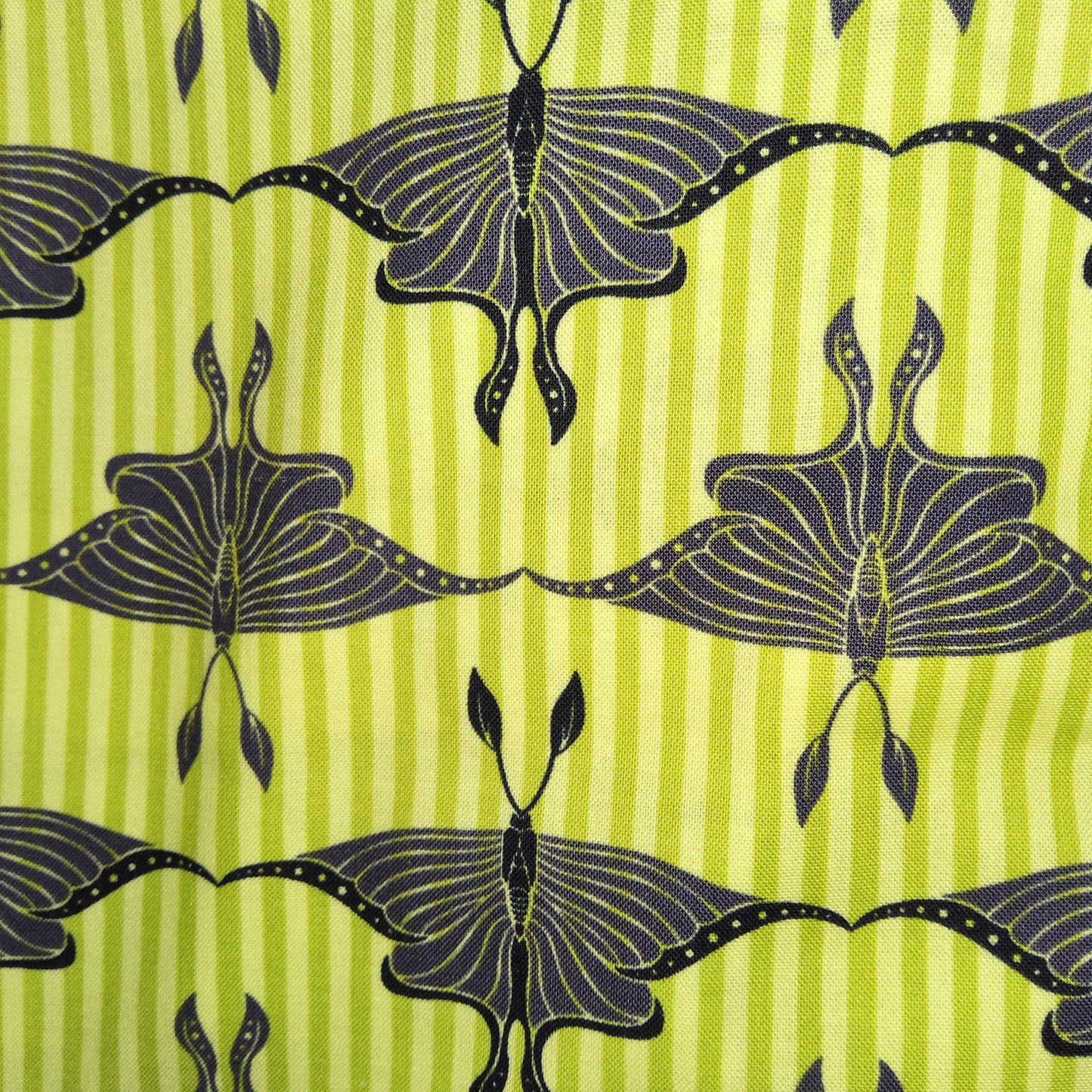 Flora & Fauna Luna Moth in Lime (by Michael Miller) DC-4103