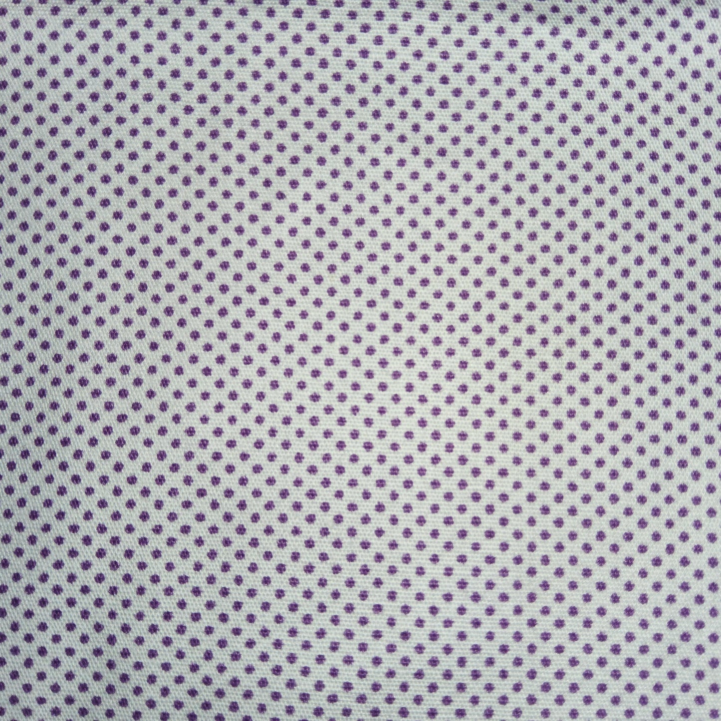 A day in the Country - Pindot lavender on white (micro dot) *