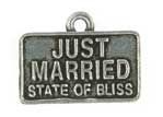 Just Married license plate charm