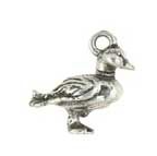 Duck charm