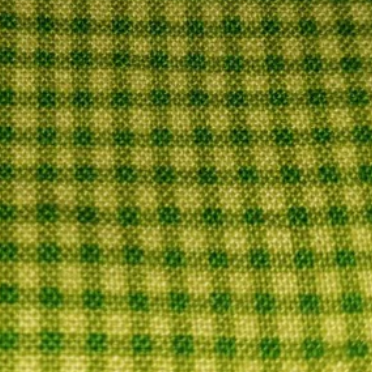 American Jane - Building Blocks - check green 21049 (gingham)