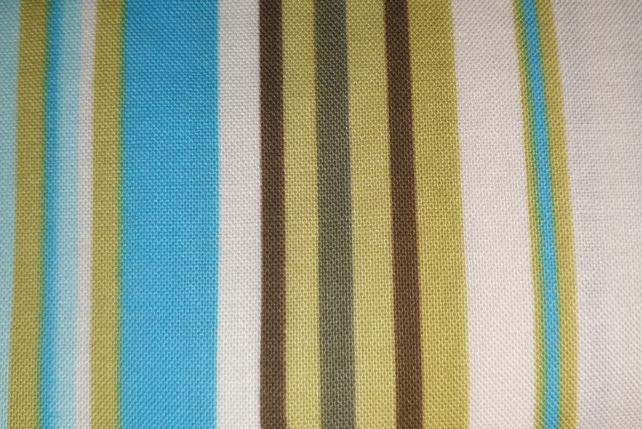Amy Butler - Daisy Chain - Happy Stripe - River AB36